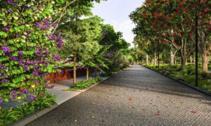 Tangled Up In Green - Luxury Plots in Devanahalli, North Bangalore2